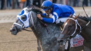 Essential Quality, Travers Stakes, Saratoga Race Course, America's Best Racing, horse racing, ABR